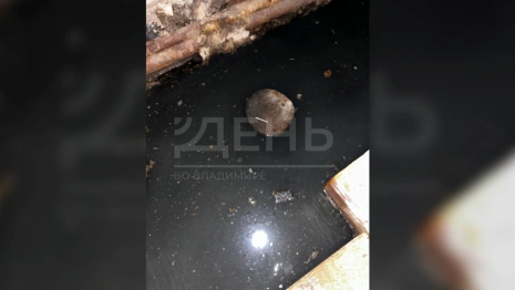 Подвалы многоквартирных домов во Владимире затопило нечистотами