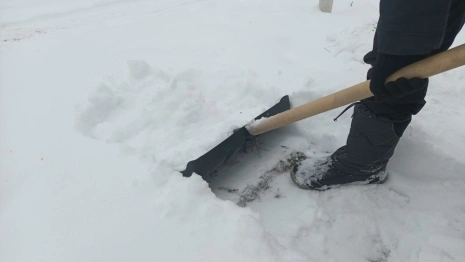 Выходные во Владимирской области закончатся снегопадом