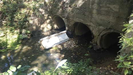 Реку Содышка под Владимиром завалили щебнем