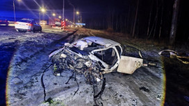 В аварии с опорой ЛЭП в Петушинском районе пострадали 3 человека