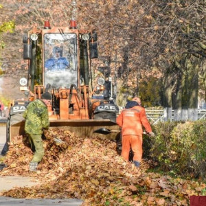 С улиц Владимира за неделю вывезли 60 тонн мусора