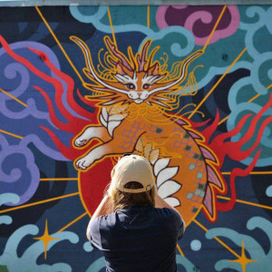 На стене Владимира поселилась дракошка