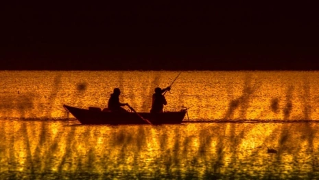 Во Владимирской области запретили ловить рыбу 