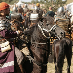 Конный поход пройдет через Владимирскую область 2 и 3 сентября