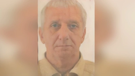 Во Владимирской области пропал 66-летний грибник