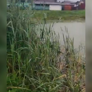 Появилось видео с места гибели 9-летнего мальчика в Юрьев-Польском