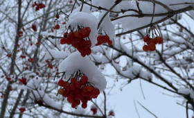 Прогноз погоды во Владимирской области на 22 февраля 2026 года