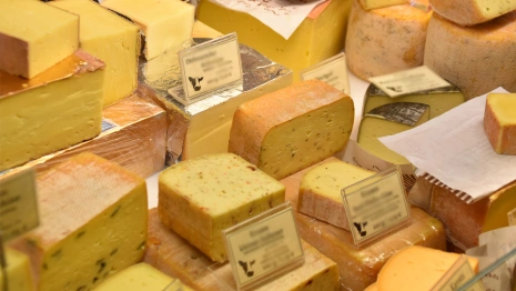 Во Владимирской области продавали сыр неизвестного происхождения