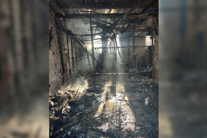 Появились фото владимирского экзотариума после мощного пожара