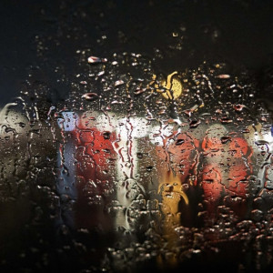 Дорожники рассказали о погоде на М-12 во Владимирской области 5 мая