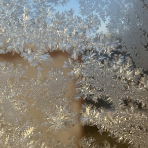 Во Владимирской области спрогнозировали заморозки 6 и 7 мая