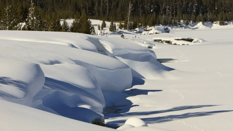 Парамон Зимоуказатель: что можно и нельзя делать 12 декабря