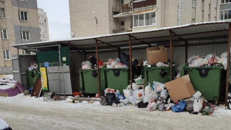 Во Владимир вернулся мусорный коллапс