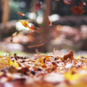 Синоптики пообещали 24-градусное тепло во Владимире