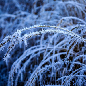 Во Владимирской области ударят 16-градусные морозы