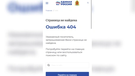 С сайта «Единой России» пропала информация о задержанном мэре Владимира