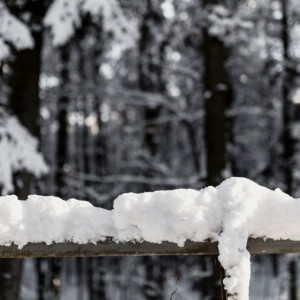 Во Владимирской области последняя неделя января будет теплой и пасмурной
