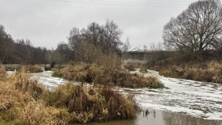 Река Пекша в Петушинском районе покрылась белой пеной из-за загрязнения