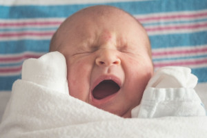 Москвичка незаконно получила выплаты на несуществующего ребенка во Владимирской области