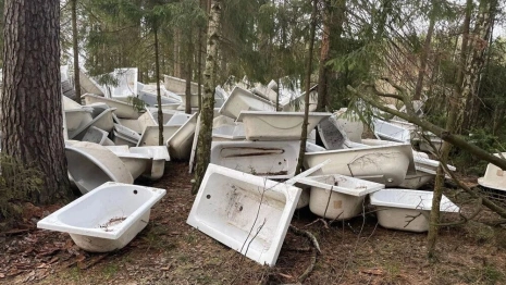 Во Владимирской области в лесу нашли кладбище ванн
