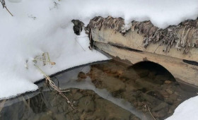 Во Владимирской области усилили контроль за чистотой водоемов