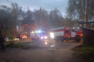 На пожаре под Александровом спасли 3 детей и 3 взрослых 