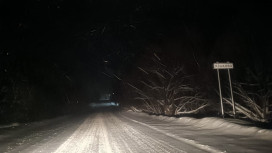 Село на трассе под Владимиром погрузилось во тьму