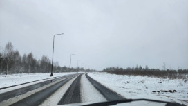 Зима с снегом вернулись во Владимир