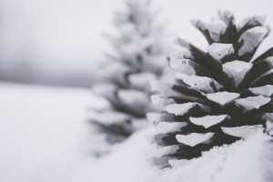Снег во Владимире будут возить на одну свалку, но этого недостаточно