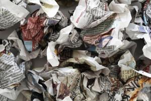 Рекультивацию свалки в деревне под Вязниками оценили в 120 млн рублей