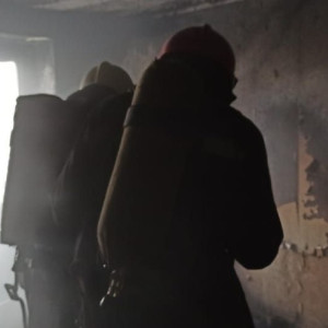 Во Владимирской области на пожаре спасли 2 человека