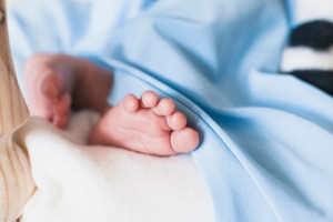 Во Владимирской области в июле 2024 года родилось 9 двоен