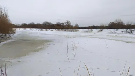 В Петушинском районе спасатели съехались на поиски провалившегося под лед человека