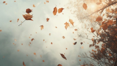 Прогноз погоды во Владимирской области на 4 сентября