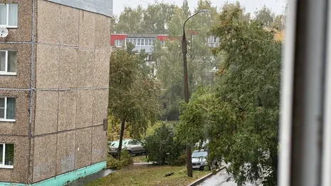 Во Владимире начался первый ливень после долгой засухи