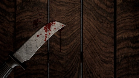 Жительницу Струнино будут судить за убийство возлюбленного в общежитии