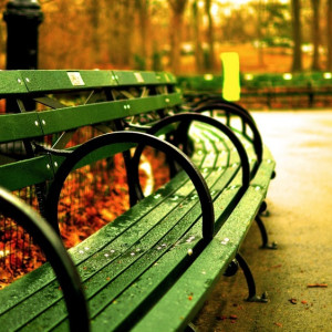 В трех городах Владимирской области за 225 млн рублей создадут новые места для отдыха