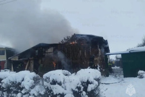 При пожаре в частном доме под Муромом пострадала женщина