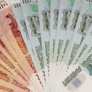 Во Владимирской области многодетные семьи с 2024 года смогут заменить участок на деньги