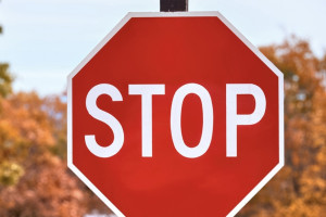 Во Владимире из-за «Зеленого марафона» перекроют Лыбедскую магистраль