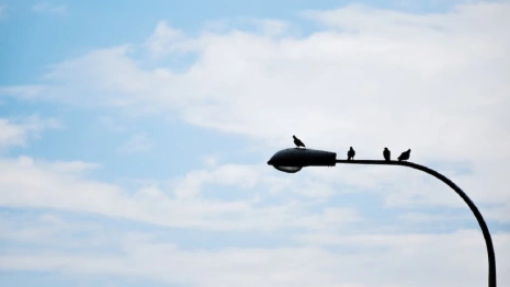 В 19 владимирских селах на дорогах установят фонари 