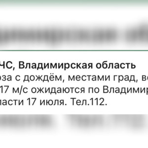 МЧС предупредило жителей Владимирской области о грозе и граде 17 июля