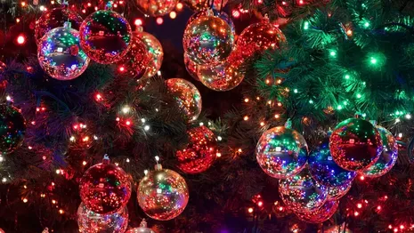 В Коврове появится 46 новогодних елок к началу зимы