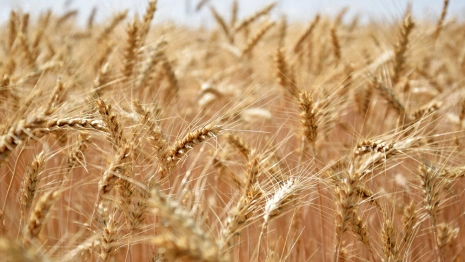 Иван Долгий: что можно и нельзя делать 21 мая