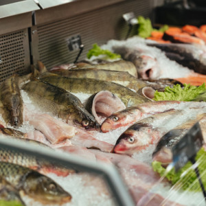 За полгода во Владимирской области сняли с прилавков 7 кг рыбы и морепродуктов