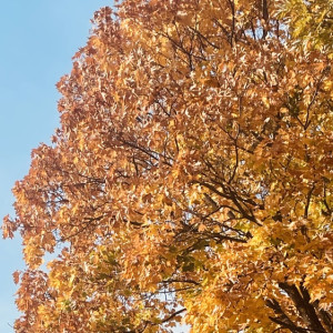 Прогноз погоды во Владимирской области на 28 сентября