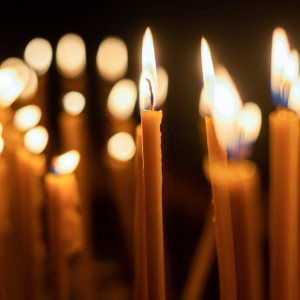 Владимирский губернатор приехал на похороны замглавы Минобрнауки и мужа Гурцкой