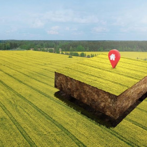 В поселке под Петушками земельный участок сдали в аренду с нарушением закона