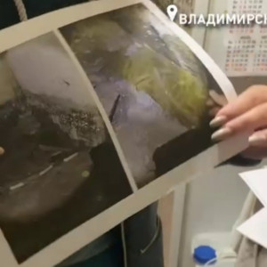 Бастрыкин заинтересовался переселением жильцов авариек в дома с плесенью во Владимире