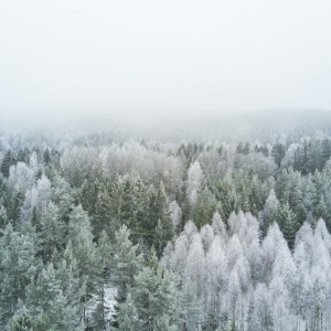 Синоптики дали прогноз на конец зимы во Владимирской области